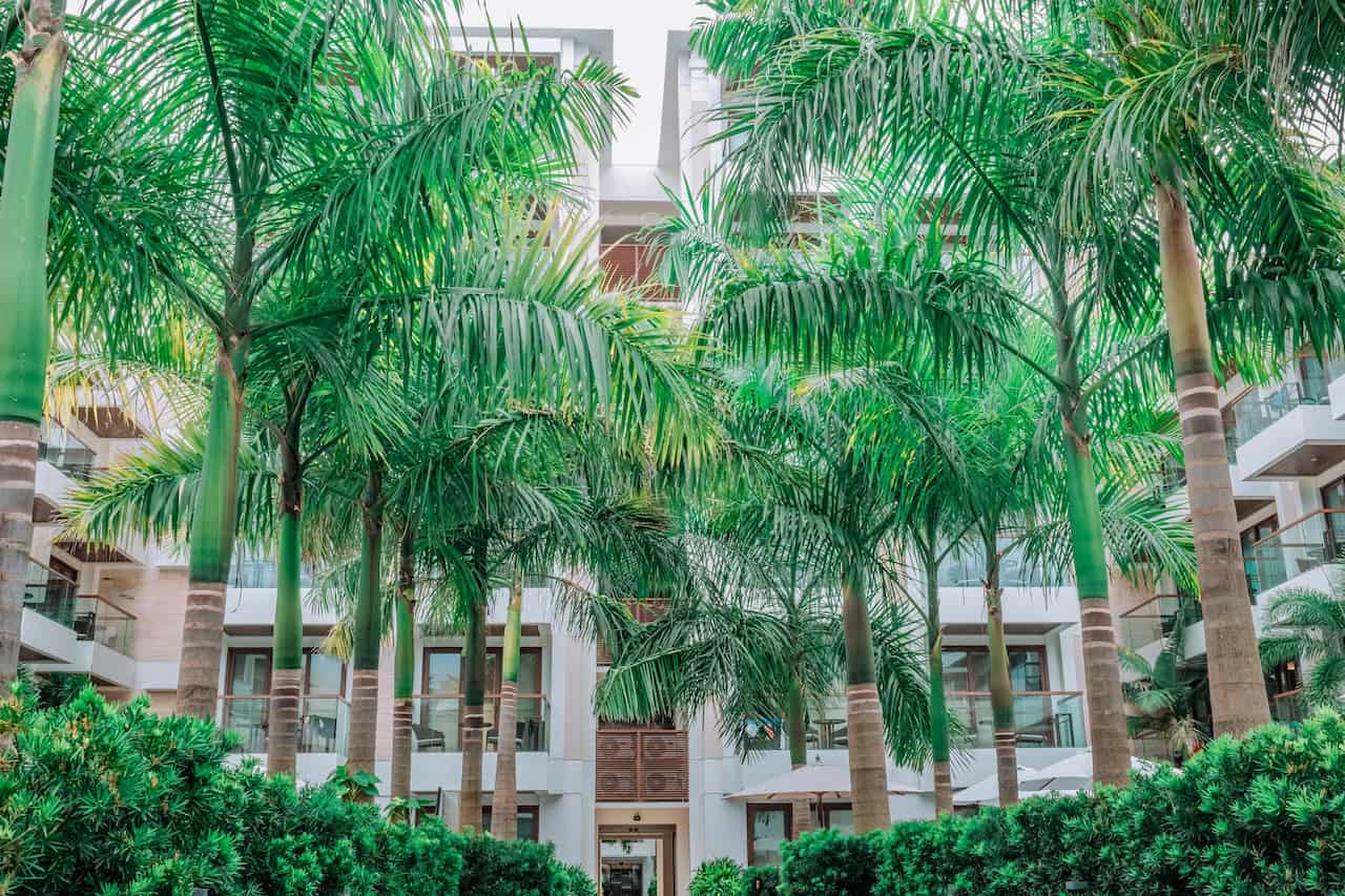Accommodation Specials & Packages