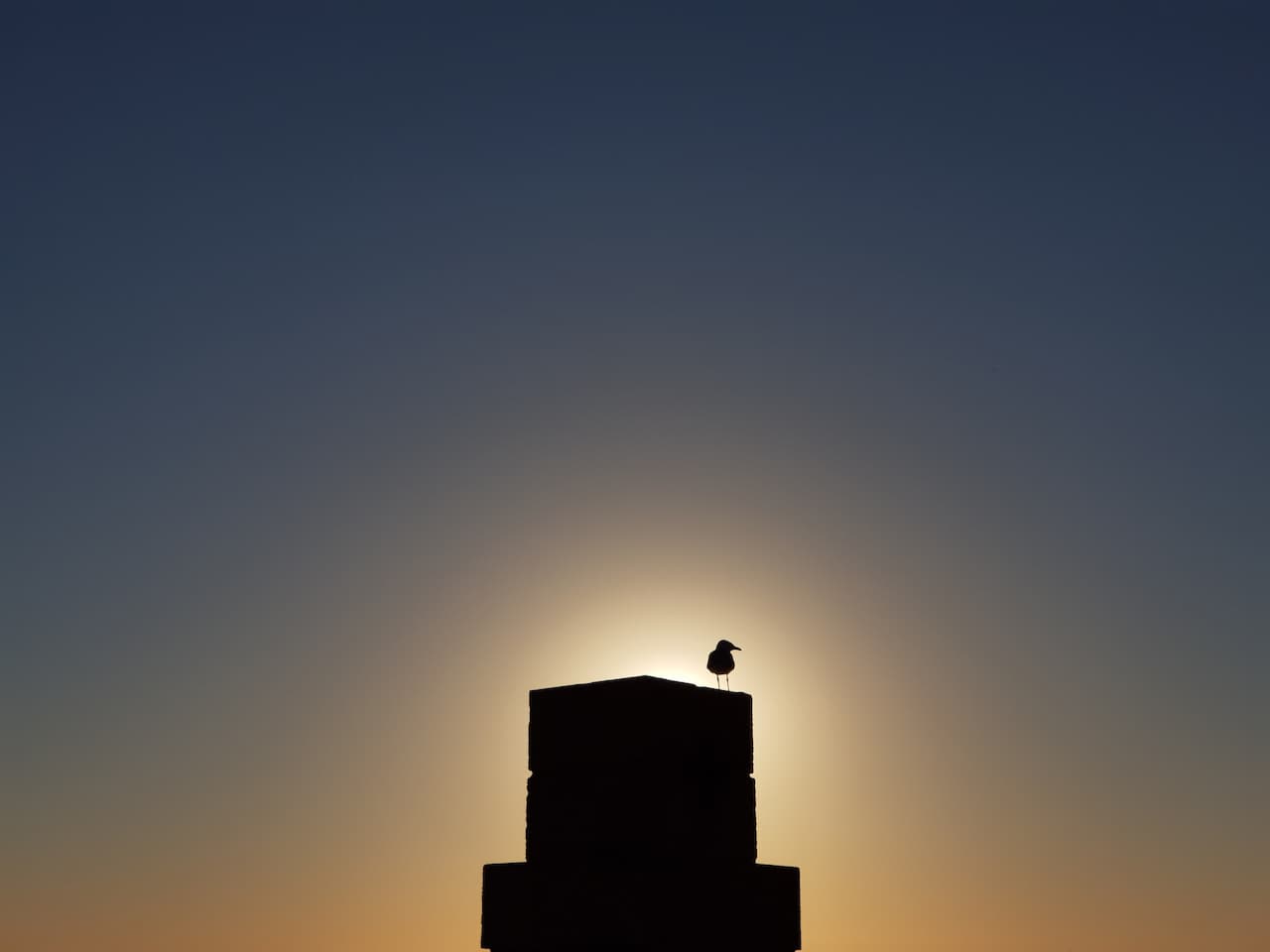 Carnarvon Activities