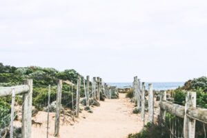 Bridge next to the beach