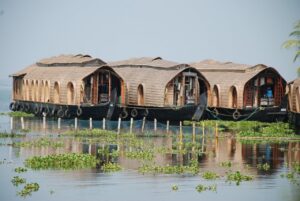 Brown houseboats in the Water