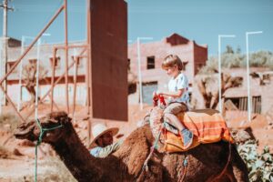 Camel ride in Cable beach