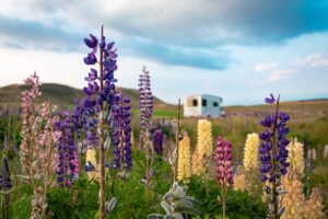 Campervan with flowers 