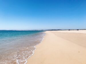 Coral Coast white sand beach
