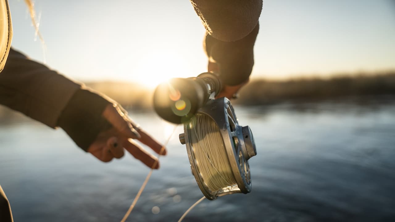 Fremantle Fishing Charters WA Travel
