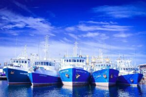Group of blue boats 