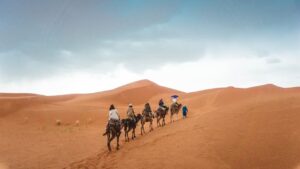 People on a Camel Ride