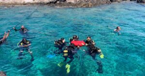 Group of people diving in the sea