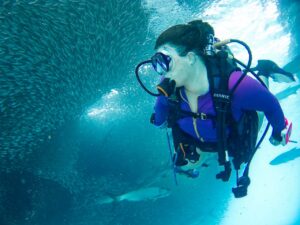 Woman diving near the school fish