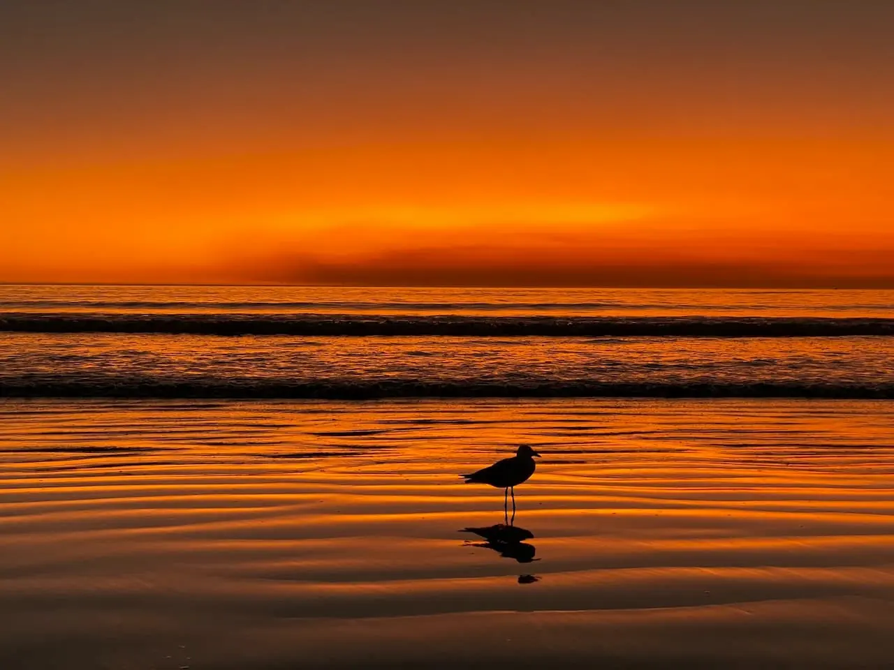 Broome Australia Beach Sunset