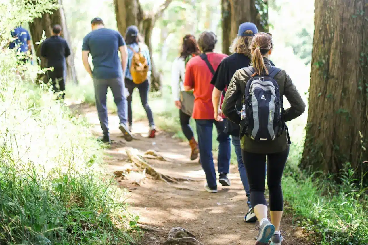 Group of hikers walking along a forest trail